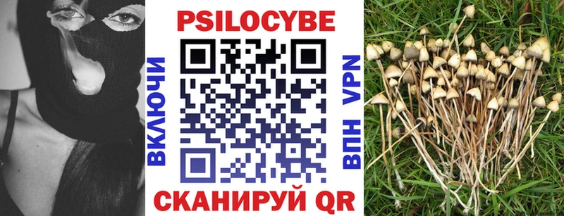 купить   Пятигорск  blacksprut онион  Галлюциногенные грибы Psilocybe 
